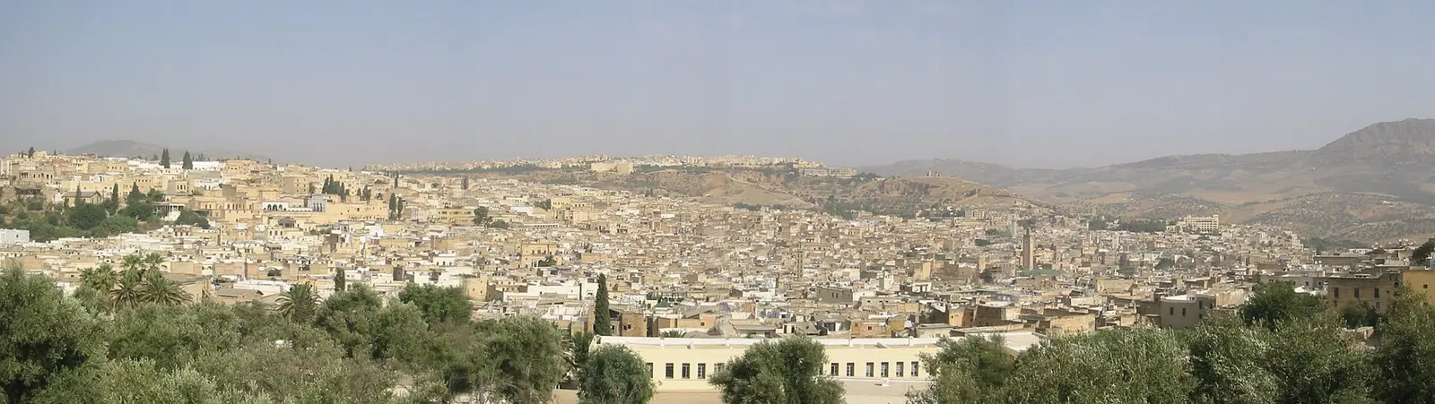 Vue panoramique de la médina de Fès